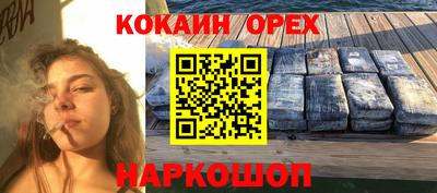 прущие грибы Обнинск