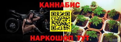 сатива Нягань