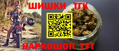 прущие грибы Обнинск