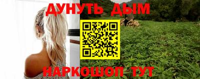 прущие грибы Обнинск