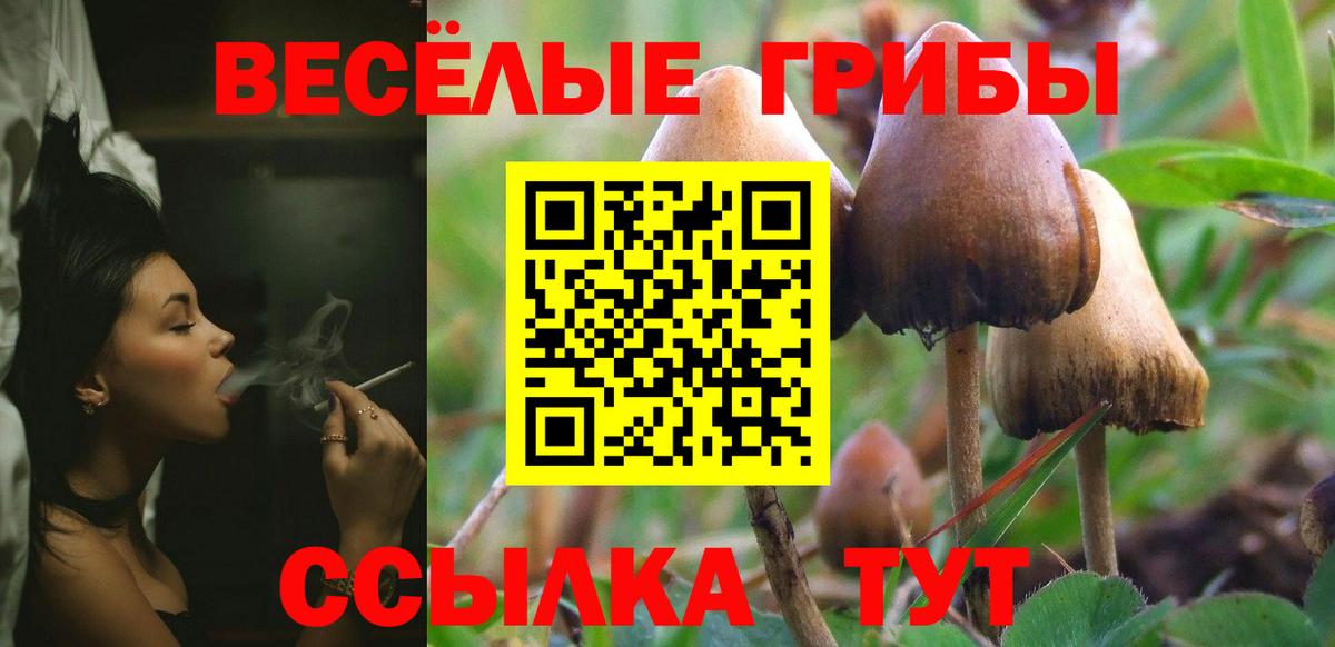 Артёмовский  Галлюциногенные грибы MAGIC MUSHROOMS  Галлюциногенные грибы GOLDEN TEACHER  Вход с VPN 